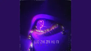 Wo Zhi Zai Hu Ni (Remix)