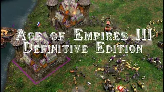 Age of Empires 3 Definitive Edition - Стойкие русские