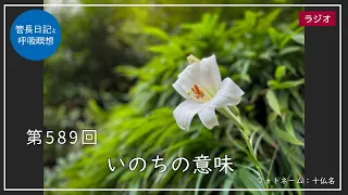 第589回「いのちの意味」2022/8/18【毎日の管長日記と呼吸瞑想】｜ 臨済宗円覚寺派管長 横田南嶺老師