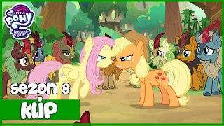 Spór Applejack i Fluttershy | MLP | Sezon 8 | Odcinek 23 | Brzmienie Ciszy