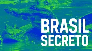 Brasil Secreto  Pantanal