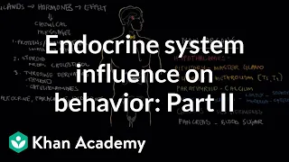 Endocrine system and influence on behavior - Part 2 | Behavior | MCAT | Khan Academy