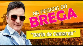 DARIO DE CAMARGO - NA PEGADA DO BREGA CD RELIQUIA 2021