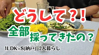 #71 枝豆を一度に収穫/強引な義父/海苔の佃煮を作る/60代夫婦の暮らし/シニアライフ/パッチワークキルト