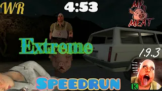 Mr. Meat - V 1.9.3, world record (4:53), extreme speedrun