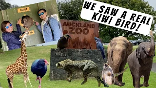 WHAT TO SEE IN AUCKLAND ZOO