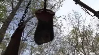 Abandoned Children's Playground in The Middle Of New Jersey Woods