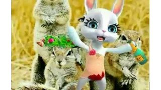 зайка🐰 😂💁- женщина Ей закон не писан !