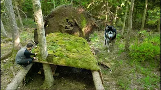 5 Days SURVIVAL Camping - how to build a survival shelter between Two fallen Trees