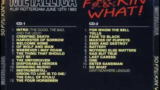 Metallica - Seek and Destroy (Rotterdam De Kuip 12-06-1993)