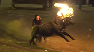 TORO embolado en CEDRILLAS (Teruel)