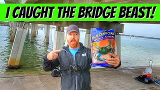 I Caught THE Tampa Bay Bridge MONSTER