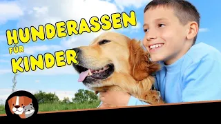 Top 10 - Beste Hunderassen für Kinder