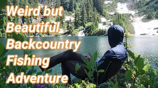 Solo Backpacking Fishing at Beautiful Alpine Lake!