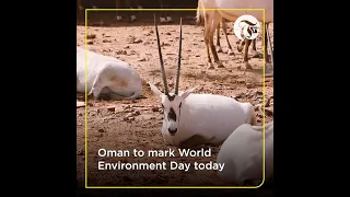 Morning Minute : Oman to mark World Environment Day today