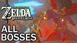 Zelda Breath of the Wild: All Bosses