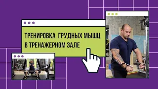 Как накачать грудь правильно. Проработка груди с Ренатом Набиулловым