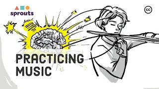 Effective Practice of Musical Instruments