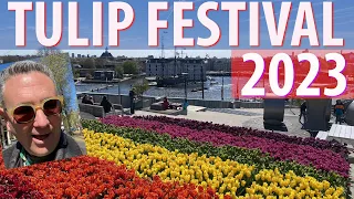 Tulip Festival Amsterdam 2023