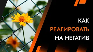 Как реагировать на негатив. Принцип сетки рабица | Лайф-Коуч Андрей Протасеня