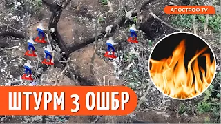 ПРОРИВ Третьої штурмової бригади на Сході / відео боїв