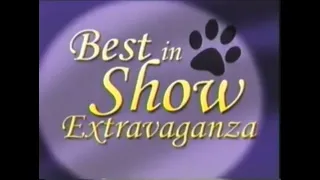 Toon Disney Best in Show Extravaganza promo (October 2003)