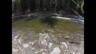 Take a rookie flyfishing. Nice rainbow on the Yampa Headwaters.