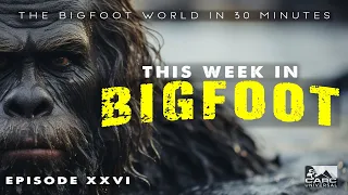 This Week in Bigfoot- (S1,E26) FULL EPISODE