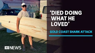 Gold Coast shark attack victim named as Greenmount and Burleigh beaches closed | ABC News