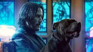 𝐇𝐞 𝐒𝐡𝐨𝐭 𝐌𝐲 𝐃𝐨𝐠  ︻┻┳══━ 一 一 一 一 一 John Wick: Chapter 3 - Parabellum (2019) - {𝐎𝐫𝐢𝐠𝐢𝐧𝐚𝐥 𝐇𝐢𝐧𝐝𝐢 𝐂𝐥𝐢𝐩} (