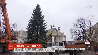 Пишну 15-метрову новорічну ялинку уже встановили у Львові