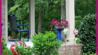 Our Summer Porch Garden