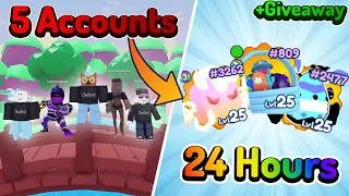Hatching On 5 ACCOUNTS for 24 HOURS During LUCK EVENT 🍀🥚 | Pet Catchers