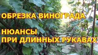 ч.4. ЧаВо. Принцип ОБРЕЗКИ ВИНОГРАДА при ДЛИННЫХ РУКАВАХ. 4-я серия