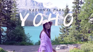 YOHO國家公園 三天兩夜  五個必去景點、住宿推薦| 加拿大洛磯山脈