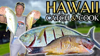 Bluefin Trevally (Omilu / Papio) CATCH & COOK | Beach Fishing in HAWAII