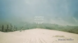 Maciej Meller - Trip (from "Zenith Acoustic" album)