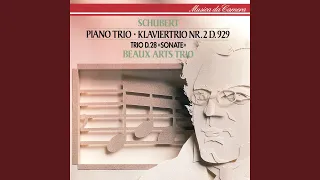 Schubert: Piano Trio No. 2 in E flat, Op. 100 D.929 - 2. Andante con moto