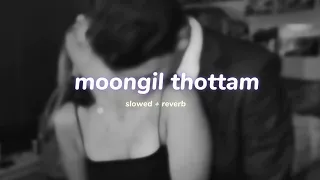 moongil thottam moozhigai vaasam ( s l o w e d + r e v e r b ) | lilvibe