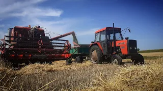 🇵🇱POLSKIE ŻNIWA 2022🇵🇱 ŻYTO POD KOSE🌾BIZON I URSUS W AKCJI 🌾