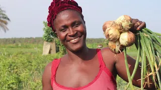 AVDP Implementation in Sierra Leone.