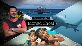 Monad Shoal Malapascua - Thresher Shark Diving