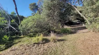 Looking at Lake Victoria and my backyard Loch Sport Victoria Australia