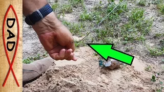 Gopher fishing tip - how to catch  pocket gophers every time.