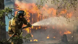 Стала известна главная причина лесных пожаров в Югре