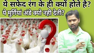 सफेद मुर्गियां अंडे क्यो नही देती? || जेनेटिक परिवर्तन क्या है?#khangs#khansir#@KhanSirPatnaKhanGs