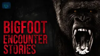 HALF MAN, HALF APE - CRAZY BIGFOOT STORIES AND SASQUATCH STORIES