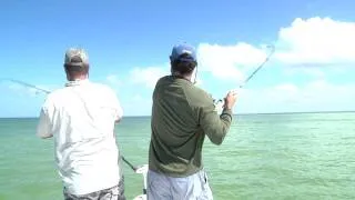 Redfish action - non stop for almost 10 minutes