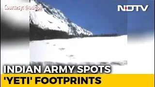 Army's "Yeti" Footprint Photos: Watch What Scientists Are Saying...