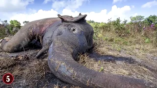 Wie sehr UNSER Eingreifen in die Natur, die Welt beeinflusst!